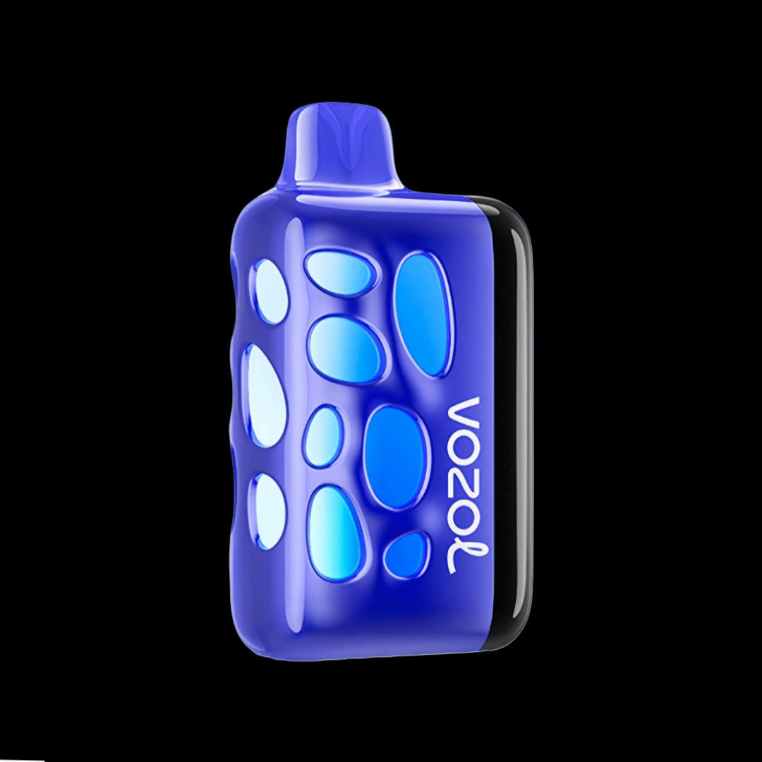 VOZOL RAVE 40000 Blueberry Watermelon