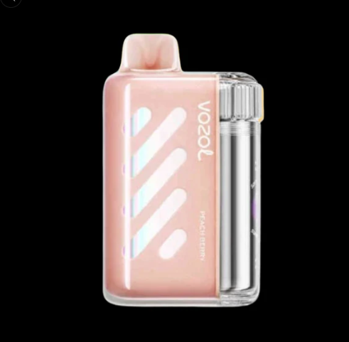 VOZOL VISTA 40000 Alle Geschmäcker